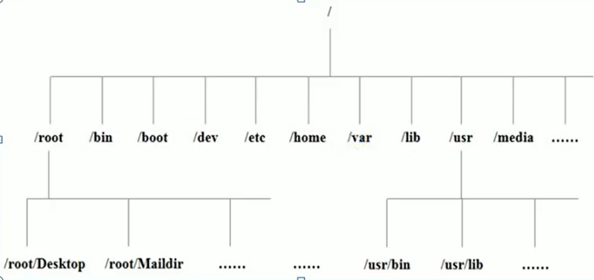 image-20210202215743182