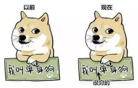 情人節,你剛表白,而我已經開始選哪里拍婚紗照了~