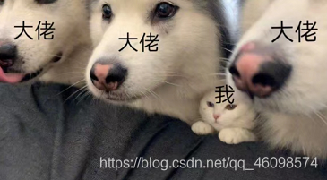 在這里插入圖片描述