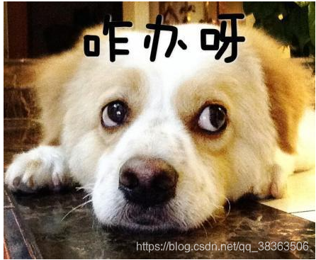 在這里插入圖片描述