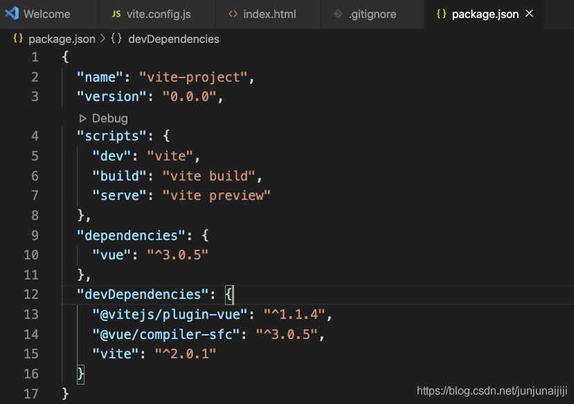 package.json