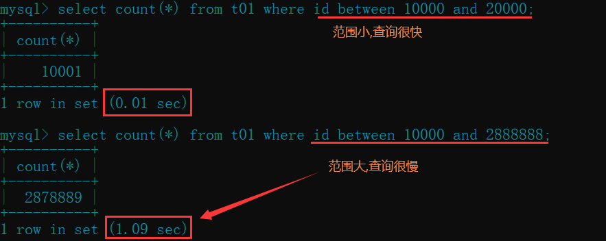 image-20210225150055303
