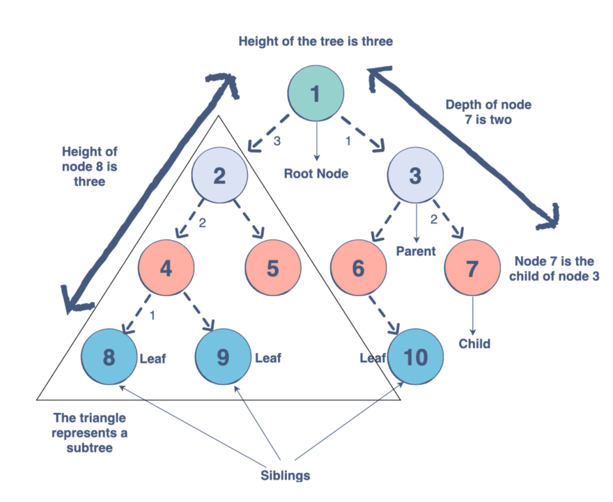 image for tree