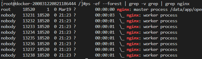 nginx1-master與worker