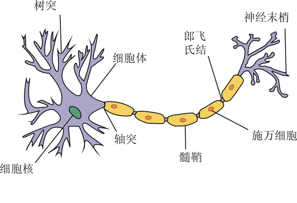 查看源影像