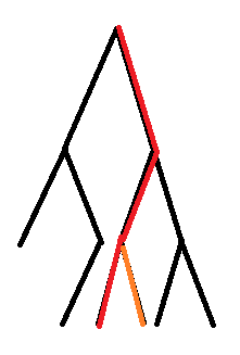 tushi-3.png