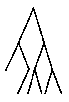 tushi-1.png