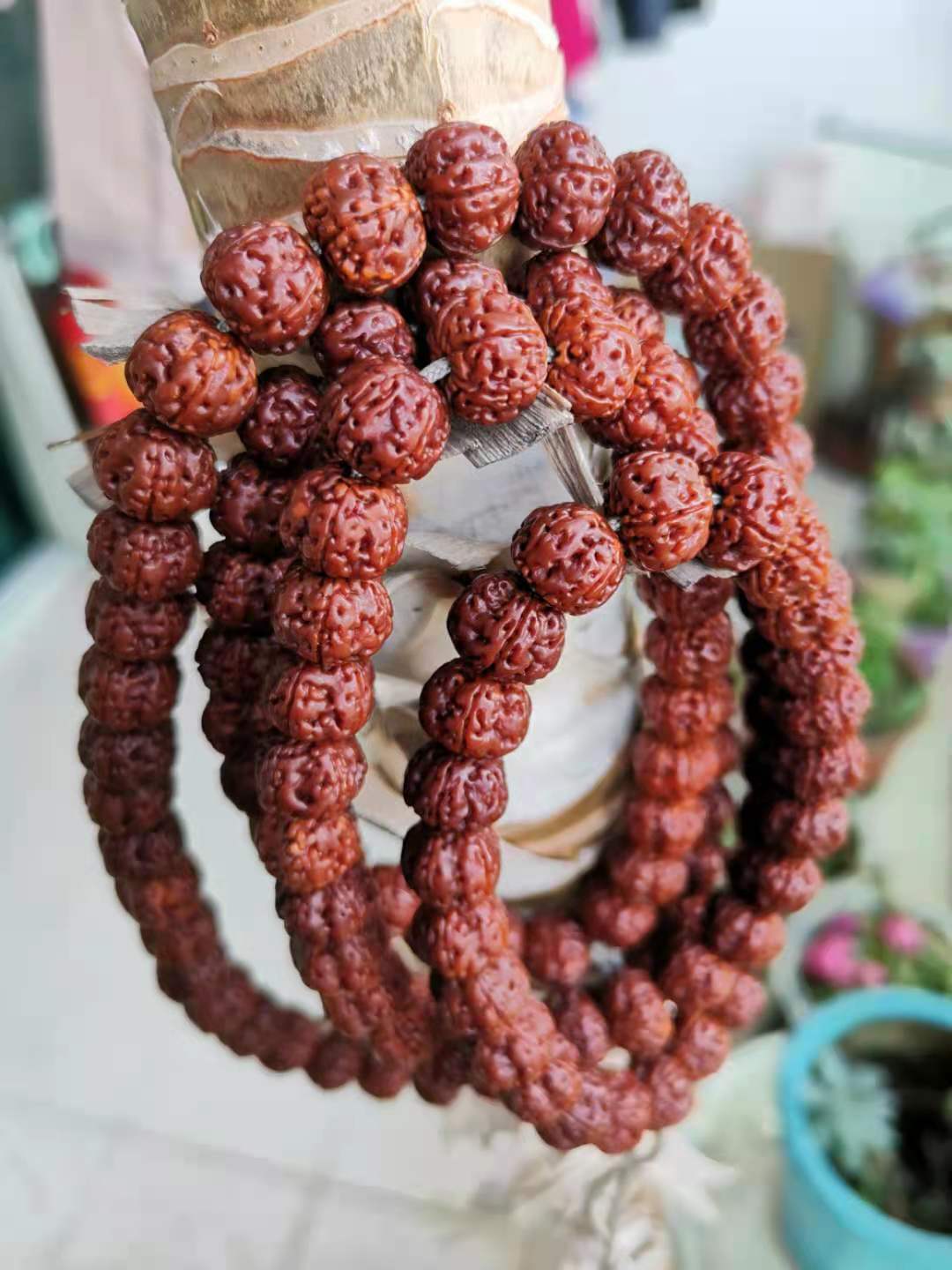 小金剛