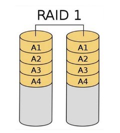 raid1