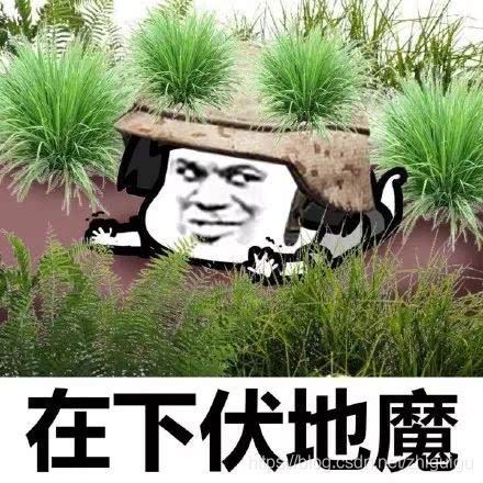 在這里插入圖片描述