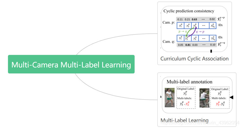 Multi-Camera Multi-Lable Learning