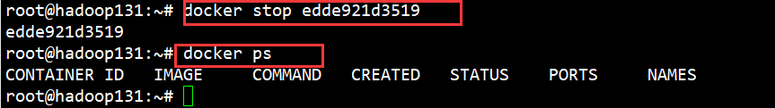 image-20210418154502693