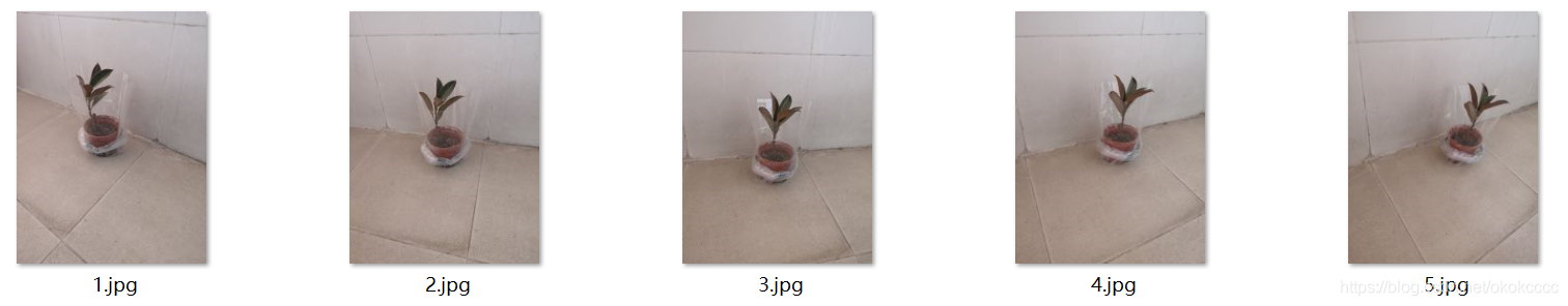在這里插入圖片描述