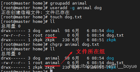 在這里插入圖片描述