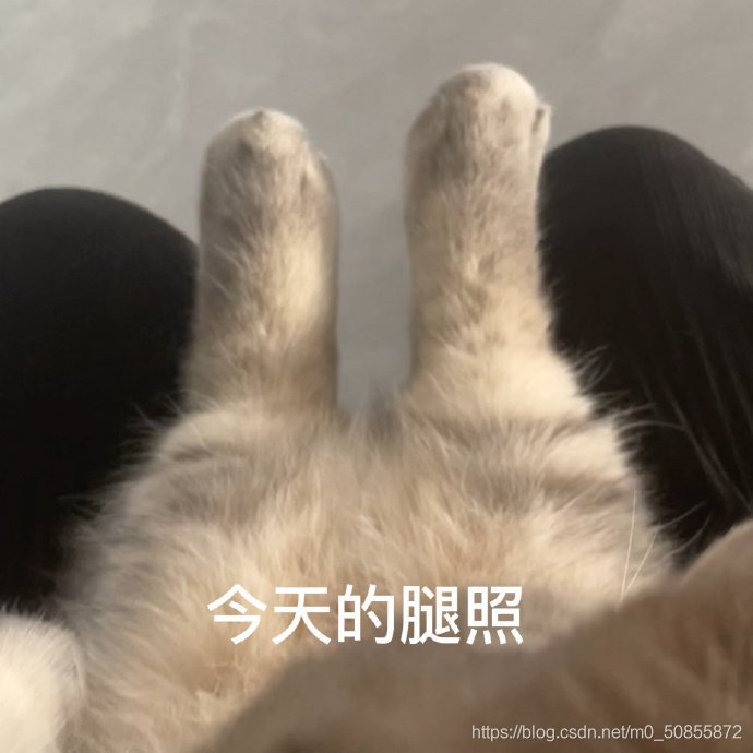 小丞