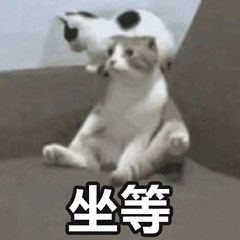 坐等