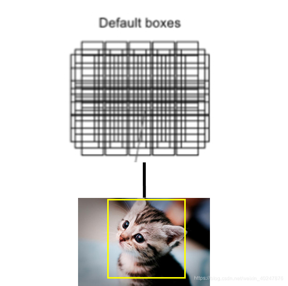 by demo
