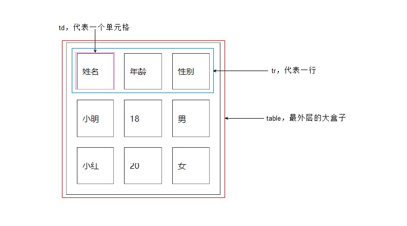 07table基本結構