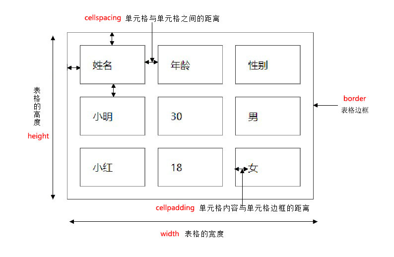 07table表格屬性