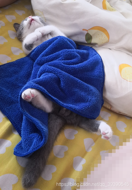 在這里插入圖片描述