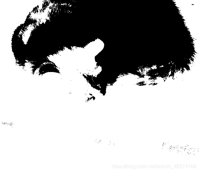 在這里插入圖片描述