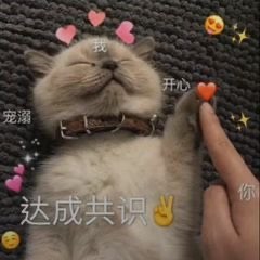 請添加圖片描述
