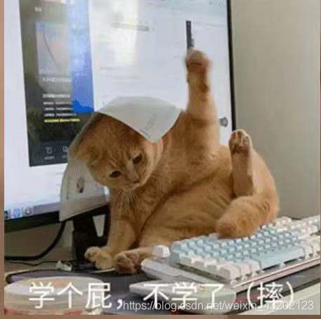 在這里插入圖片描述