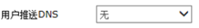 用戶推送DNS