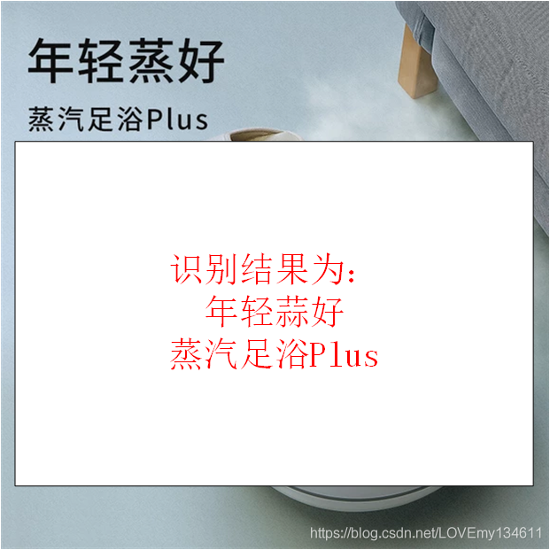 識別圖片與識別結果