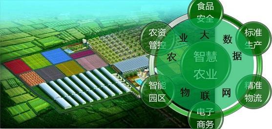 物聯網行業解決方案—農業產業園資訊化建設