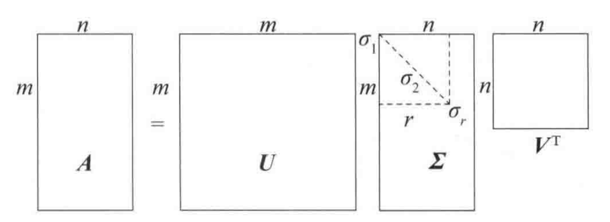 image-20210815131556463