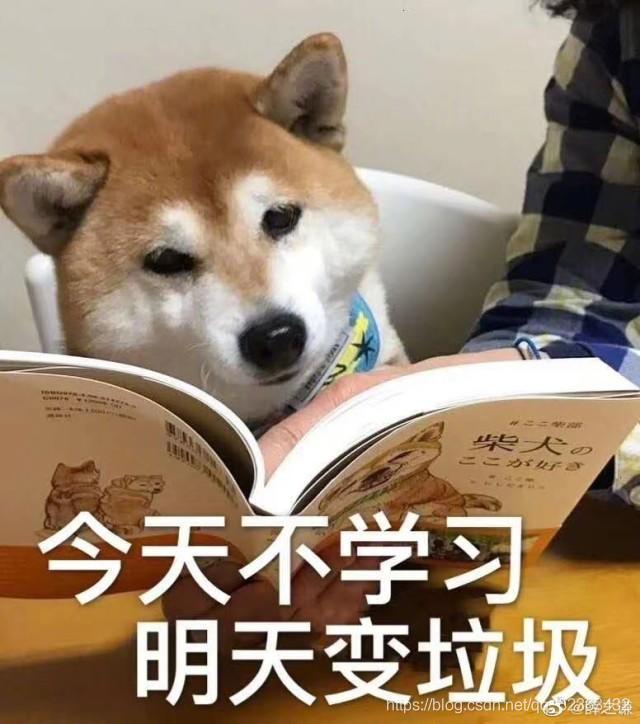 請添加圖片描述