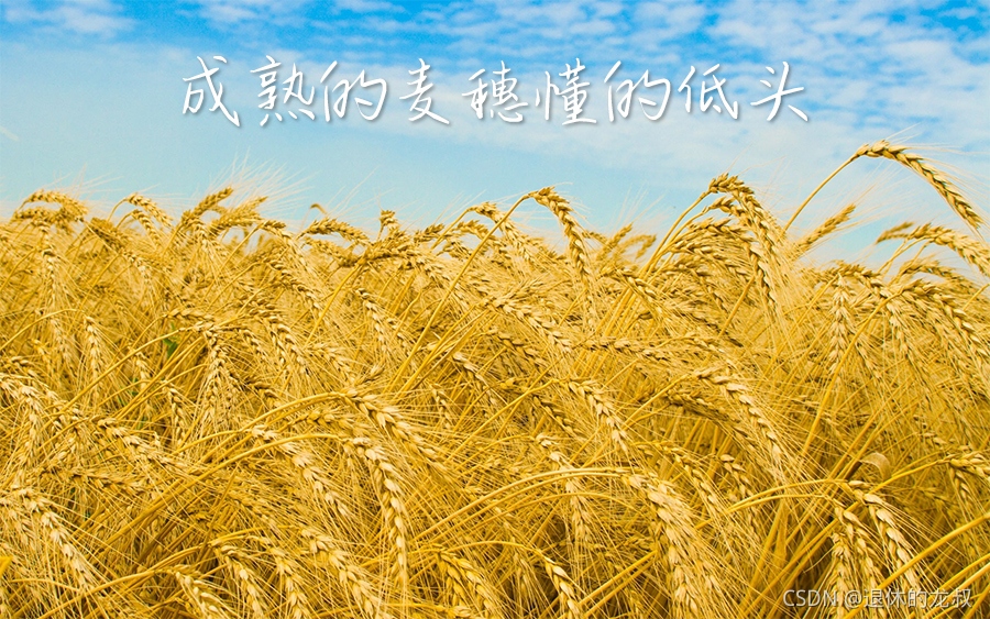 在這里插入圖片描述