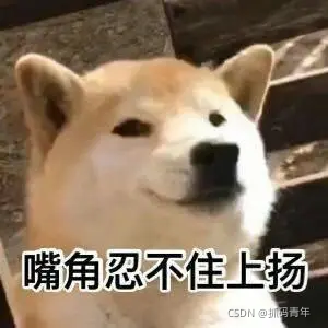 在這里插入圖片描述
