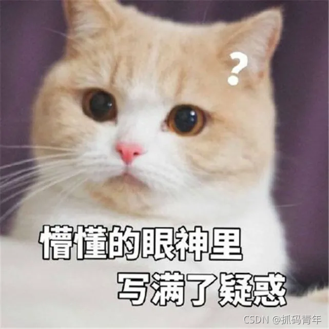 在這里插入圖片描述