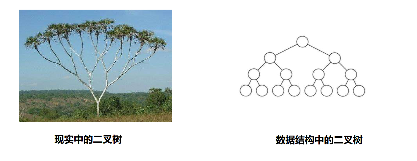 image-20210901143753154