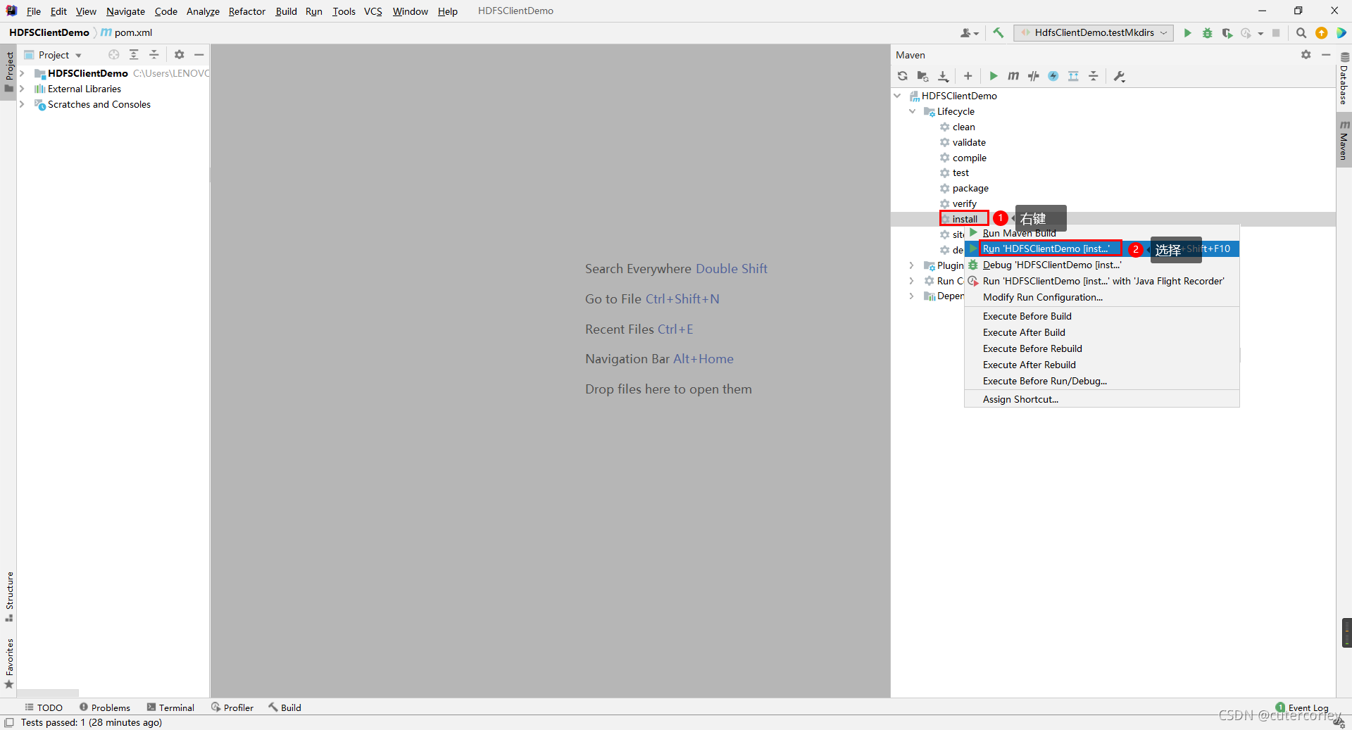 idea maven install