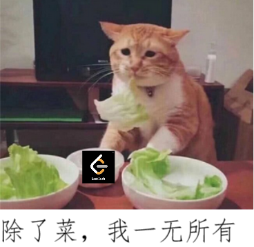 除了菜,我一無所有