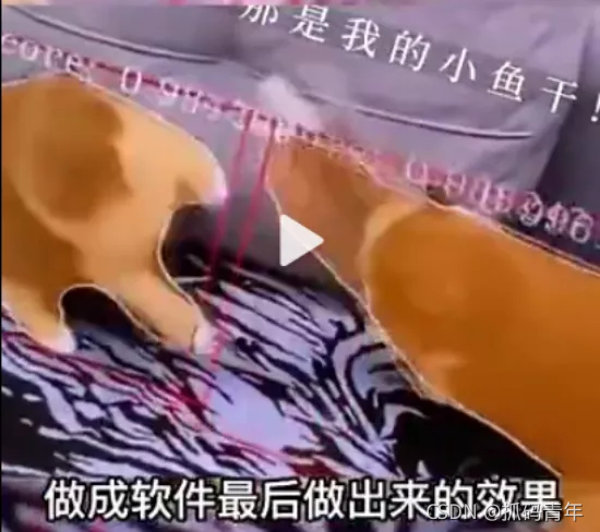 在這里插入圖片描述