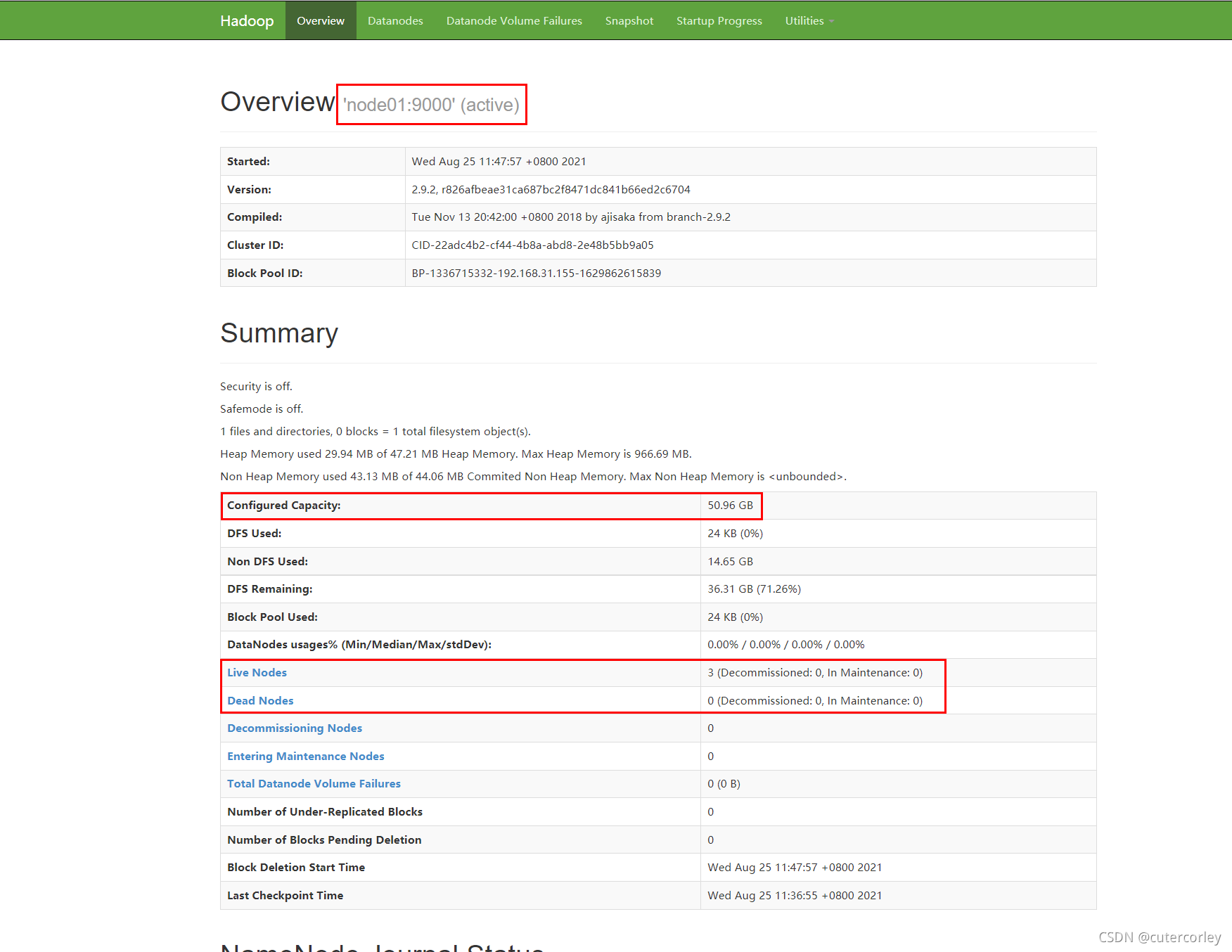 Hadoop hdfs namenode
