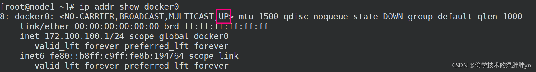 docker0網橋