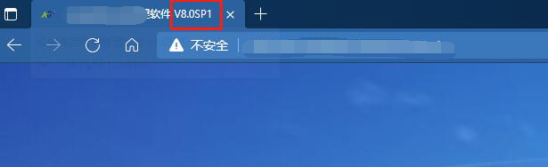 去掉圖中紅框中的版本號資訊