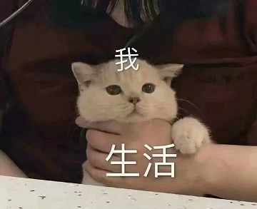 表情包
