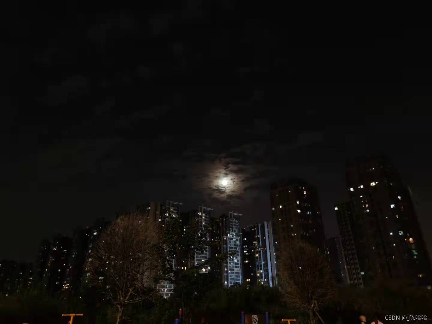 在這里插入圖片描述