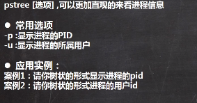 img/20210302144253.png 0 → 100644