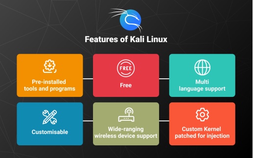 Kali Linux和Parrot OS,哪個更適合安全Kali Linux和Parrot OS,哪個更適合安全