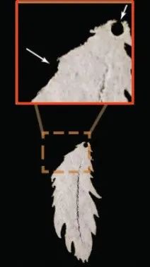 c1a3cfddcf9b0db36c5225623d777ef6.png