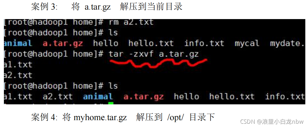 在這里插入圖片描述