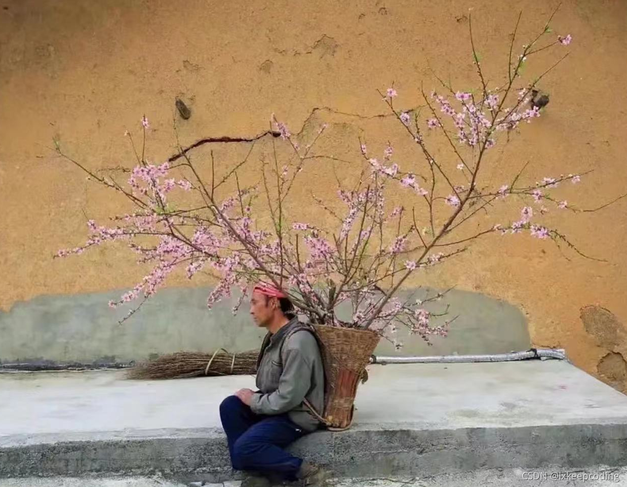 圖片來源于網路