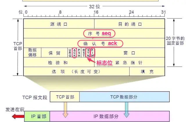 TCP欄位